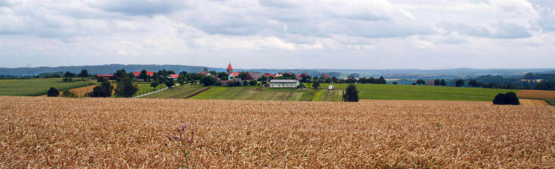 Blick nach Reinsberg