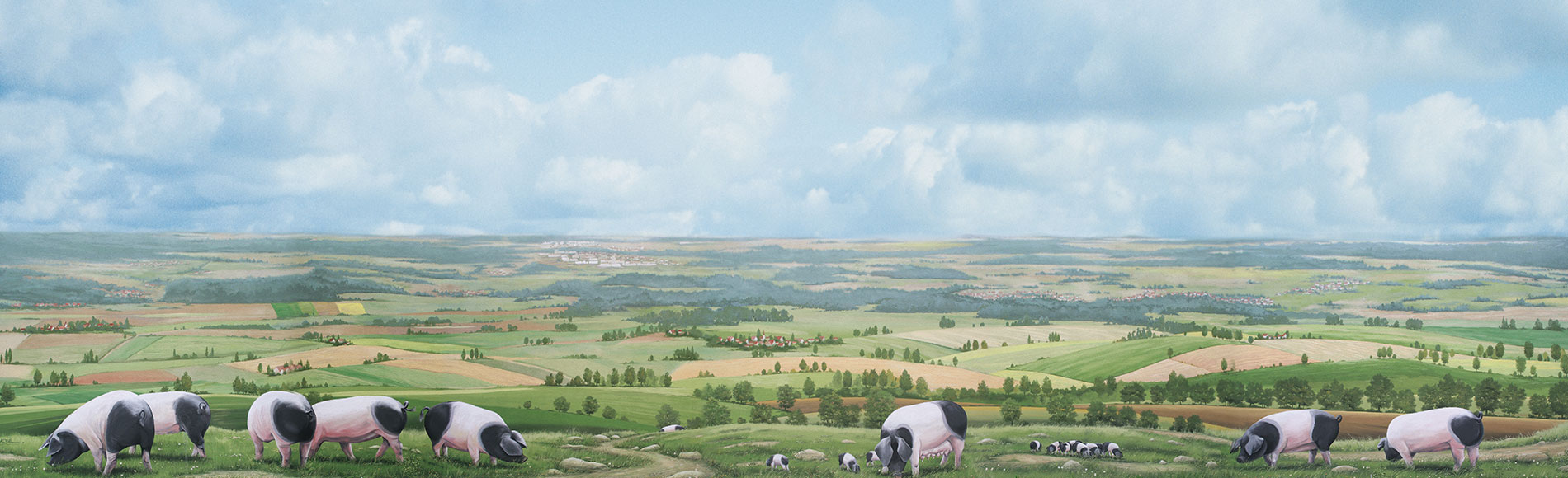 Schinken der Bäuerlichen Erzeugergemeinschaft Schwäbisch Hall